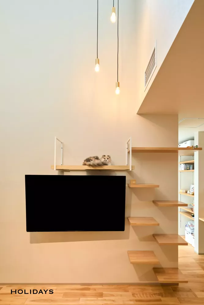 猫ちゃんと過ごすくつろぎの住まい