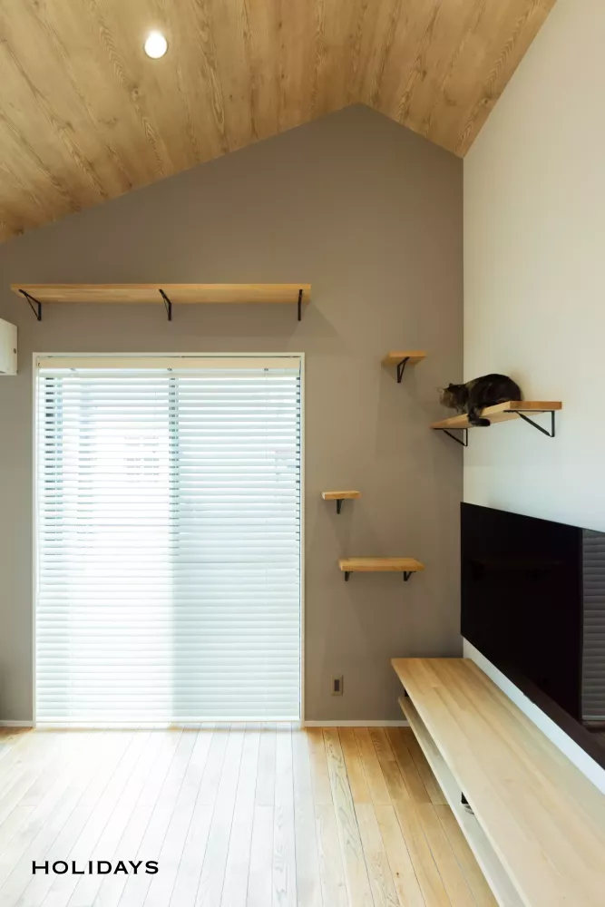 愛猫と暮らす、コンパクトな平屋